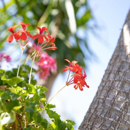 La Lantana Villa Marina di Ragusa Eksteriør billede