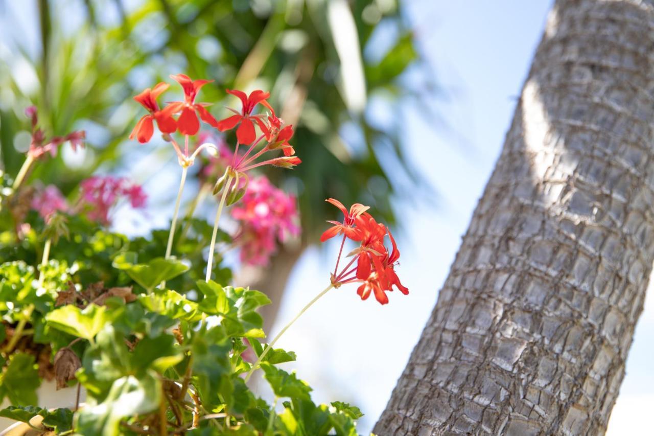 La Lantana Villa Marina di Ragusa Eksteriør billede